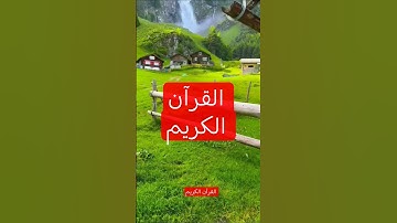 #تلاوة_مؤثرة #تلاوة_خاشعة #إسلام_صبحي #حالات #صوت_يريح_القلب #قرآن #صلوا_علي_النبي #تلاوة_مميزة