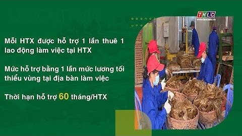 Chính sách hỗ trợ phát triển hợp tác xã nông nghiệp | THLC