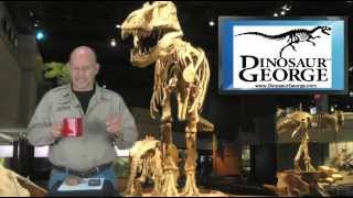 Dinosaur George #162