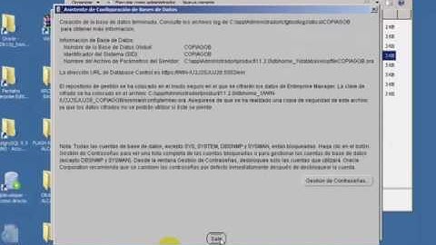 parte 2 espejo Oracle developer 11g