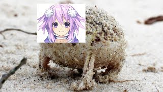 [Memes] A very Angry Neptune