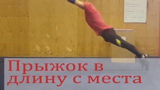 Прыжки в длину с места Прыжки в длину с места