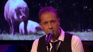 Video thumbnail of "Edwin Evers - Boer Tom - RTL LATE NIGHT"