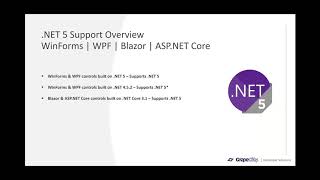 ComponentOne Controls and .NET | Webinar Video Playback screenshot 1