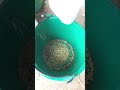 Milling | Sorting | Grinding All in one machine electrically powered #electric #shortviral #rice