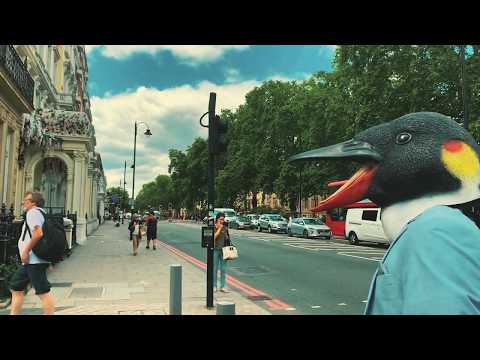 Handshake - The Importance of Being a Penguin (feat. Nothing For Breakfast) [Official Video]