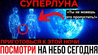 картинка: СУПЕРЛУНА 7–8 ОКТЯБРЯ! ЭТА НОЧЬ ИЗМЕНИТ ВСЁ — ГОТОВЬСЯ К ЭНЕРГИИ, КОТОРАЯ СЛОМАЕТ СТАРУЮ РЕАЛЬНОСТЬ!
