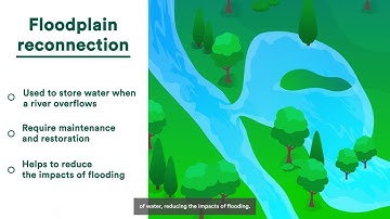 Explainer Videos | United Utilities: Natural Flood Management