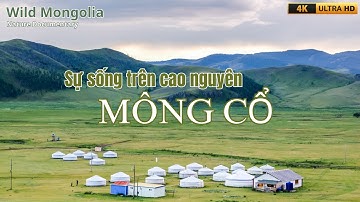 SỰ SỐNG TRÊN CAO NGUYÊN MÔNG CỔ - WILD MONGOLIA - VIDEO 4K #thegioidongvathoangda