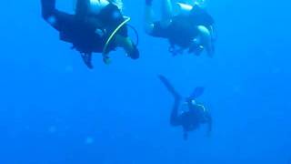 Carnatic Wreck (1/2) - Red Sea 2010