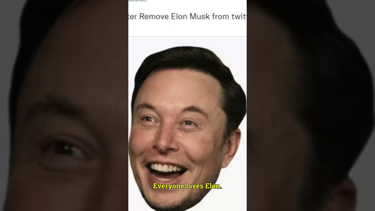 Is Elon gonna protect you?