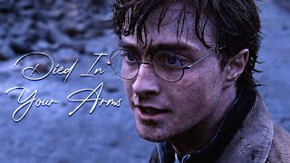 Harry Potter | Died In Your Arms