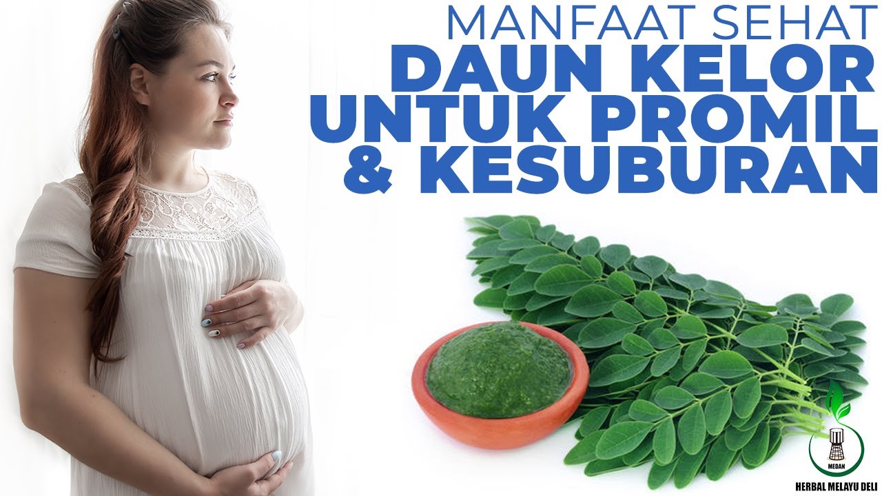 Manfaat Daun Kelor Untuk Rahim, Kesuburan, & Program Hamil Wanita
