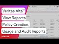 Veritas alta view reports policy creation usage and audit reports