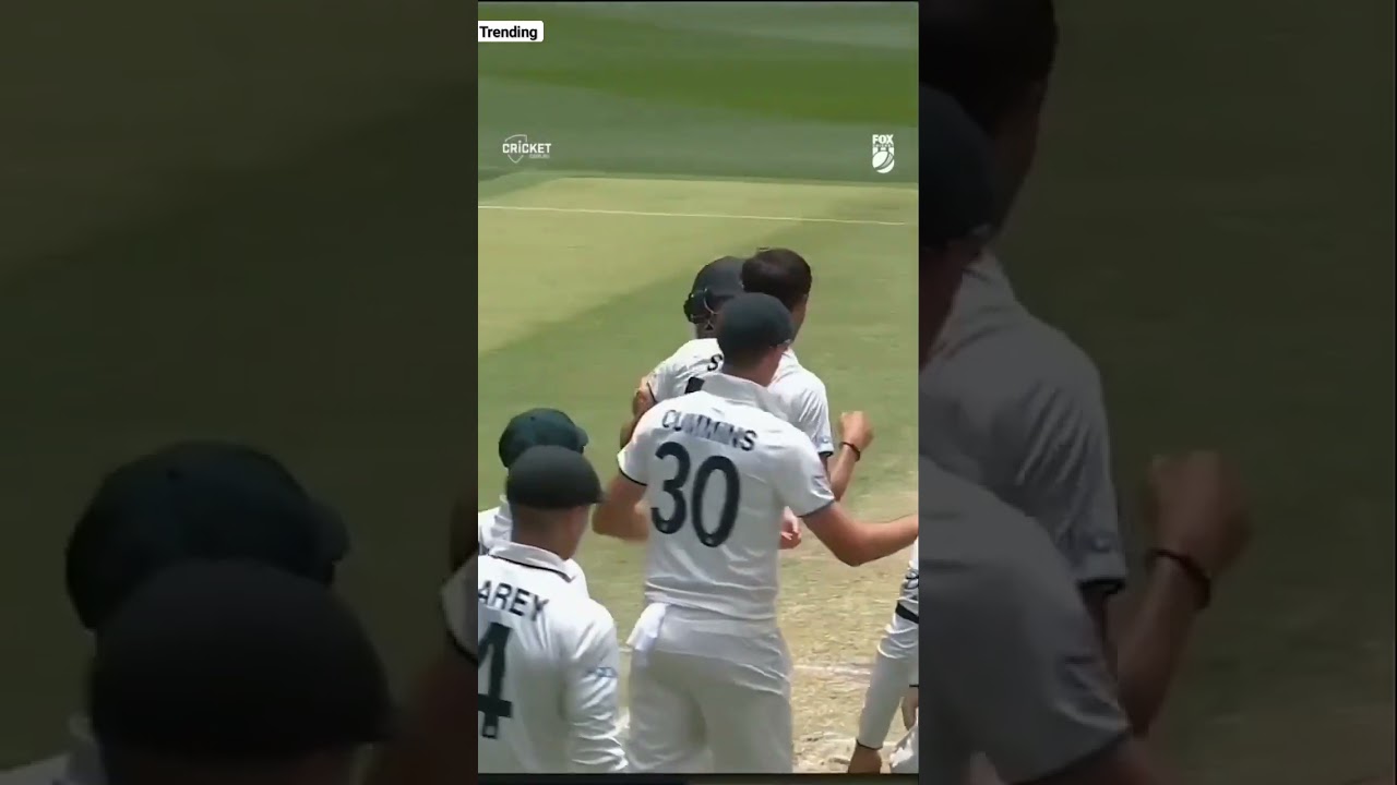 wow Mitchell starc knocks over sarfraz with a Beauty PlayOfDay 