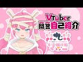 【自己紹介】Vtuber一問一答自己紹介【六九六マミコ/新人Vtuber】