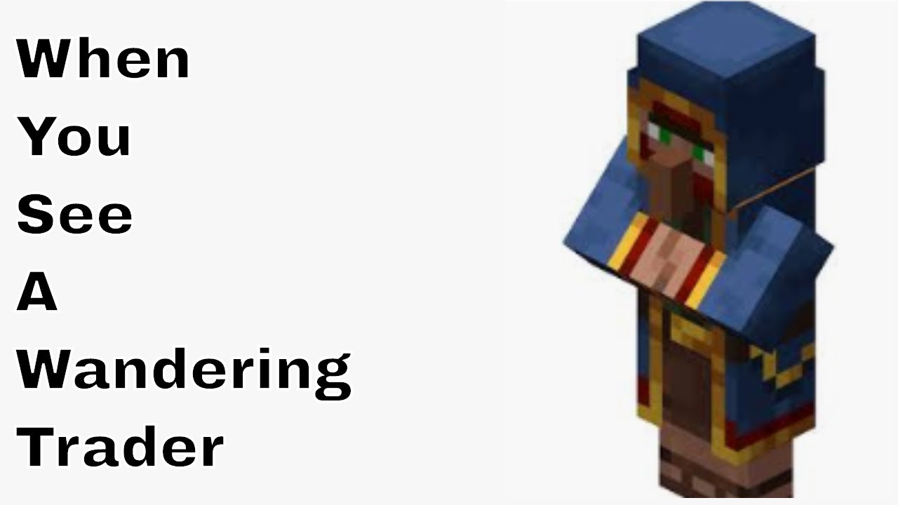 When You See A Wandering Trader (Minecraft) YouTube