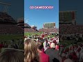 Let’s go gamecocks!#football #gamecockfootball
