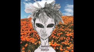 LRCM X Mapande Fayz - POPPY FIELDS (Official Visualizer)