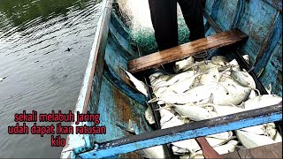 Download lagu MENJARING IKAN!!! SEKALI MELABUH JARING DAPAT RATUSAN KILO PART1