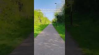 Everything happens for a reason..#trending #story #nature #travel #viral