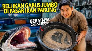 Tibatiba Beli Ikan Gabus Jumbo Di Pasar Ikan Parung Gak Nyangka Perekornya Sdanai 2kg