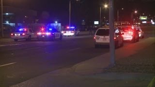Police investigate fatal pedestrian crash