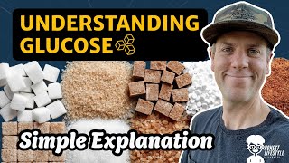 Understanding Glucose: Exploring the Link Between Blood Sugar, Energy, and Food by Jason Wydro 22 views 5 months ago 8 minutes, 21 seconds