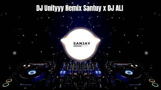 DJ UNITYYY REMIX SANTUY x DJ ALI - DJ TIKTOK TERBARU 2023