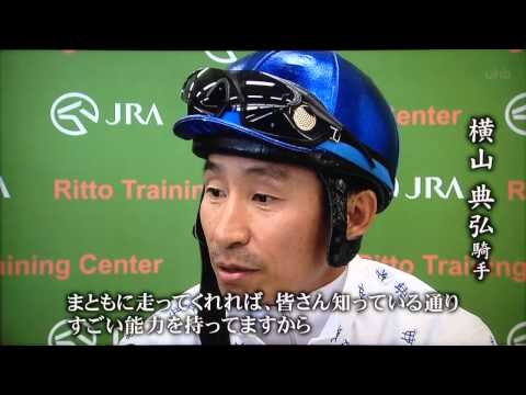 2014 宝塚記念 煽りV