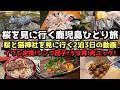 【鹿児島旅行】桜を見に行く２泊３日ひとり旅 #旅行 #旅行vlog #旅行 #鹿児島 #鹿児島旅行