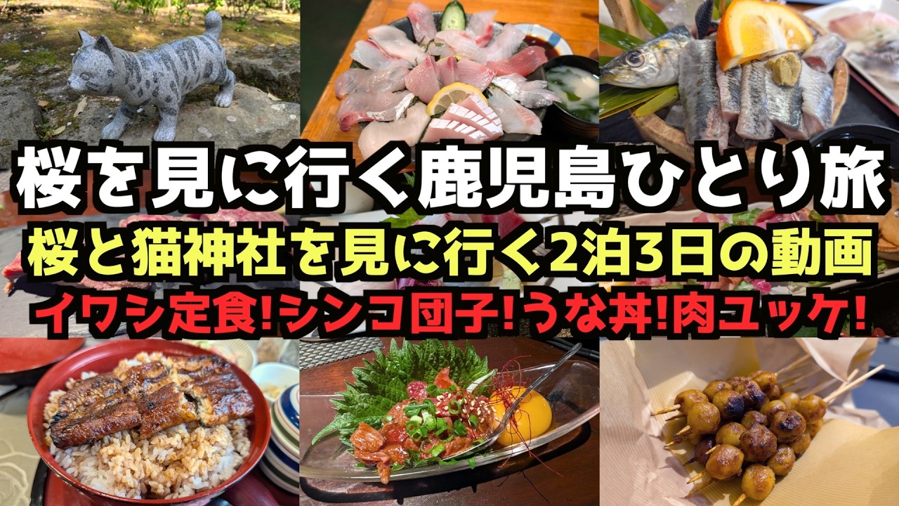 【鹿児島旅行】桜を見に行く２泊３日ひとり旅 #旅行 #旅行vlog #旅行 #鹿児島 #鹿児島旅行