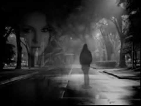 Nilüfer Caddelerde Rüzgar Aklımda Aşk Var