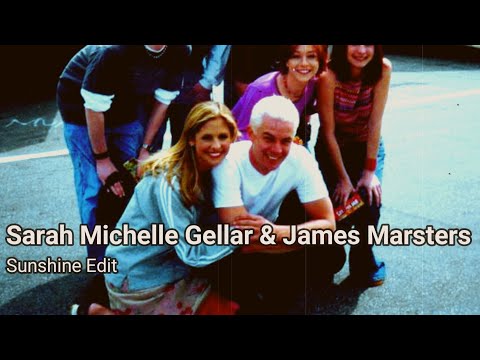 Vídeo: Sarah Michelle Gellar Docemente Parabenizou Seu Marido Em Seu Aniversário