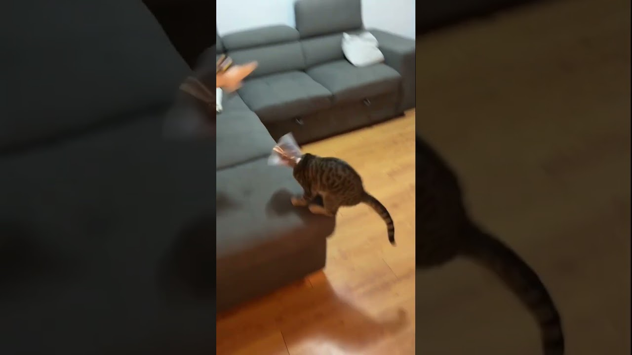 Designed for happy, healthy play. Shop now! Link in bio.