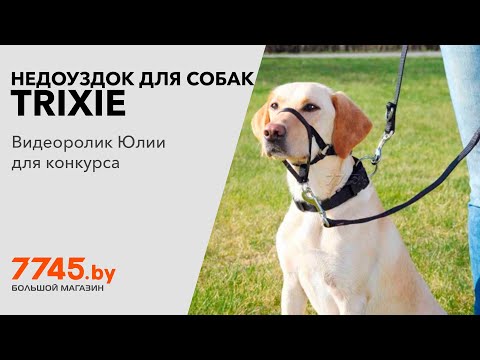 Недоуздок для собак TRIXIE Top Trainer Training Harness L-XL 3748-60 см Видеоотзыв (обзор) Юлии