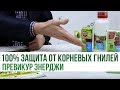 Превикур Энерджи (100% защита от корневых гнилей) | Agrolife.ua рекомендует