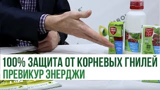 Превикур Энерджи (100% защита от корневых гнилей) | Agrolife.ua рекомендует
