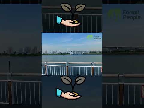 Почему нужно сортировать мусор?