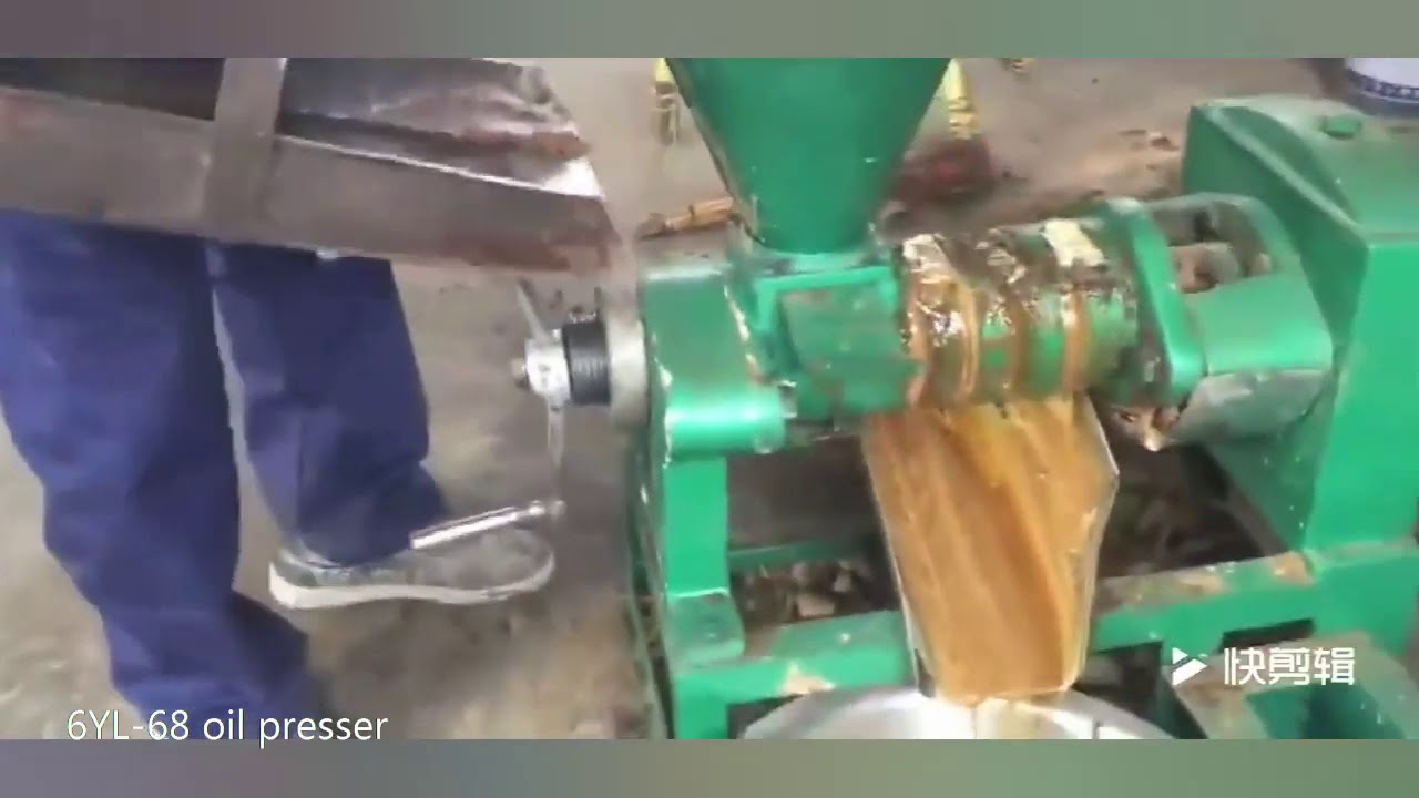 Mop 75 Screaw Oilpress Machine.