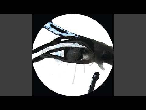 Las (2) — Temper (Original Mix)