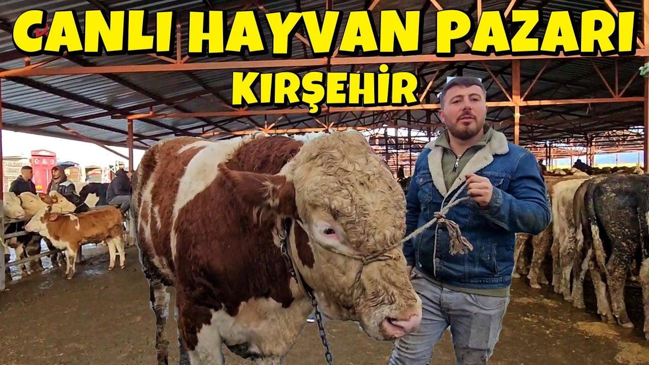 KIRŞEHİR CANLI HAYVAN PAZARI