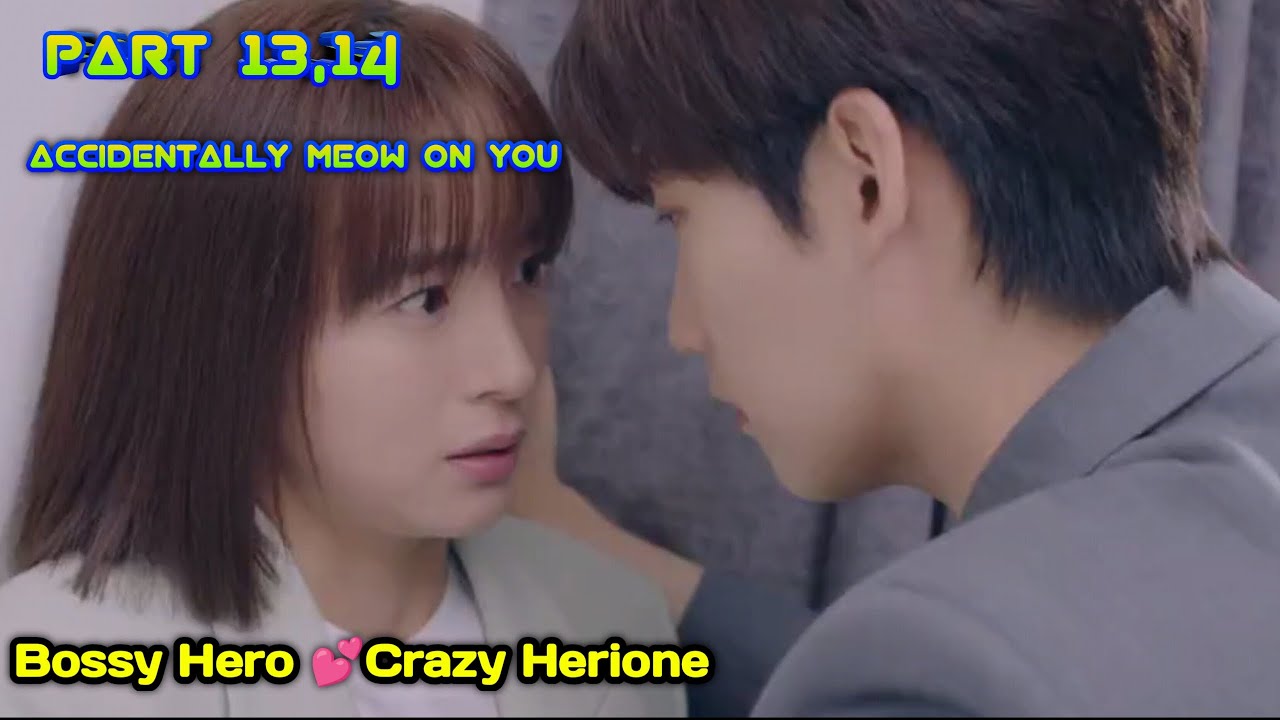 bossy-hero-crazy-herione-accidentally-meow-on-you-tamil-explain