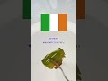 Guess the Country by the Colors 🇮🇪🎨 | Paint Mixing Experiment