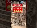 海外添乗　だ、だれ？😂😂😂😂#ツアー #添乗員 #海外旅行 #travel #観光 #トラブル #ツアー