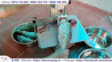 Review Máy Cưa Xương Cắt Cá Đông Lạnh Tự Động, Năng Suất| Điện máy 3G