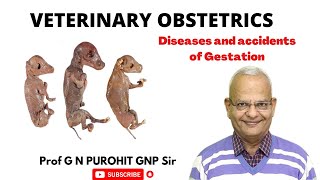 Diseases and accidents of gestation I Veterinary Obstetrics I GNP Sir I VGO I Mummification