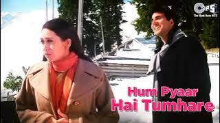 Hum Pyaar Hai Tumhare Dildar Hai Tumhare | Akshay Kumar | Karisma Kapoor | Kumar Sanu | Alka Yagnik