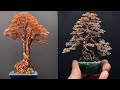 Top 10 Amazing DIY Ideas - How To Make Bonsai Tree Wire Copper