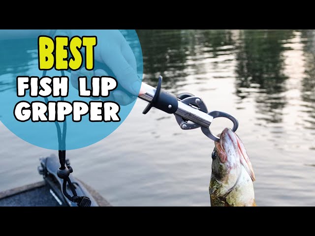 Best Fish Lip Gripper – Grip Your Fish Tightly! 